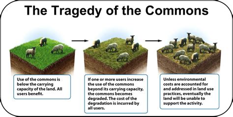 Tragedy of the commons | Biodiversity Crisis in Southeast Asia