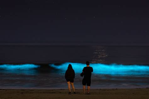 Photos: Southern California waters are glowing amid major ...