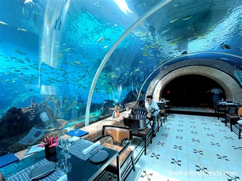 Bali’s First Underwater Restaurant Review - Koral Restaurant Bali - Luxury Travel Babe