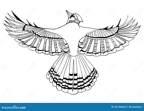 Bird Line Art Black and White Stock Illustration - Illustration of feathers, hand: 101783523