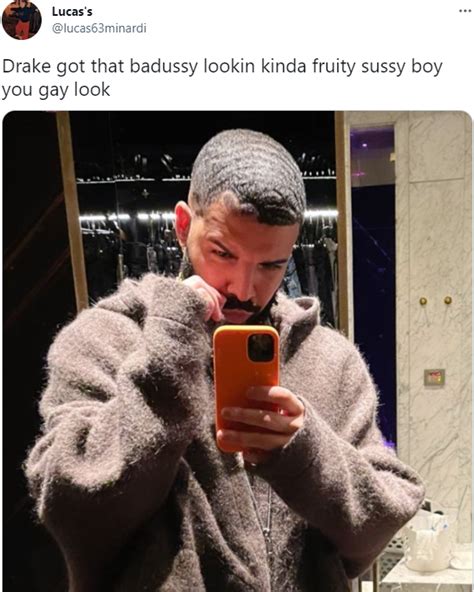 Drake Mirror Selfie | Know Your Meme