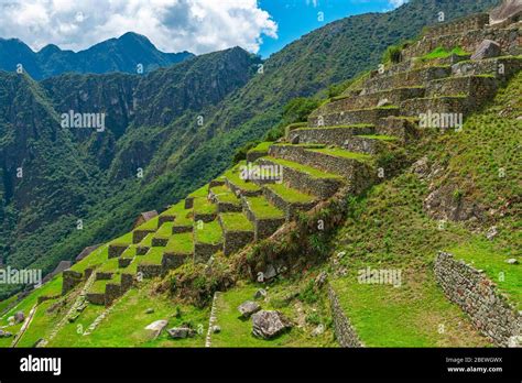 Agriculture Terraces in the Inca ruin of Machu Picchu, Cusco, Peru Stock Photo - Alamy