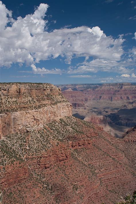 Route 66: Day 8: Williams, AZ to Williams, AZ via The Grand Canyon