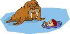 Walruses at Animated-Gifs.org