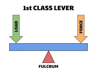 Basic Biomechanics: Levers