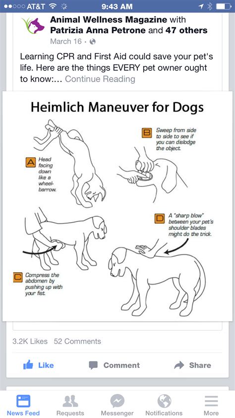 Heimlich Maneuver For Dogs, Dog Heimlich, I Love Dogs, Cute Dogs, First ...