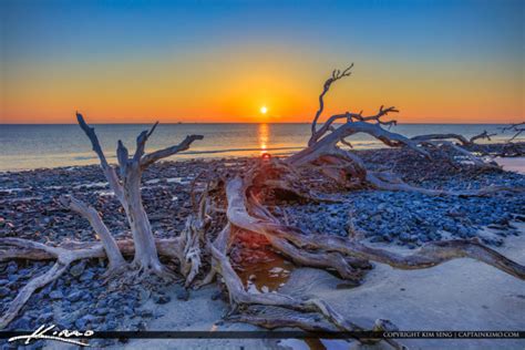 Dry of Beautiful Sunrise on Driftwood Beach | Royal Stock Photo