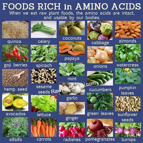 Amino Acids Foods