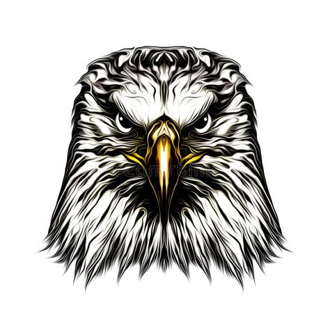 Eagle Head Black and White Illustration on White Background, Digita ...