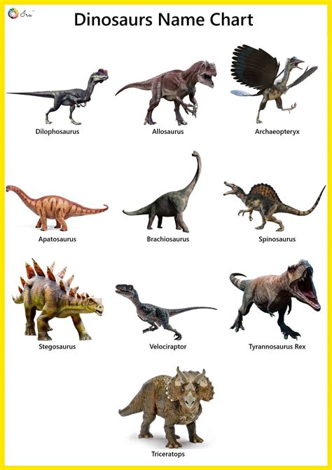 Dinosaur Identification Chart