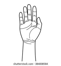 Outline Hand Drawing Stock Vector (Royalty Free) 384008560 | Shutterstock