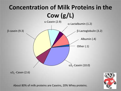 PPT - What is in Milk? PowerPoint Presentation, free download - ID:5477654