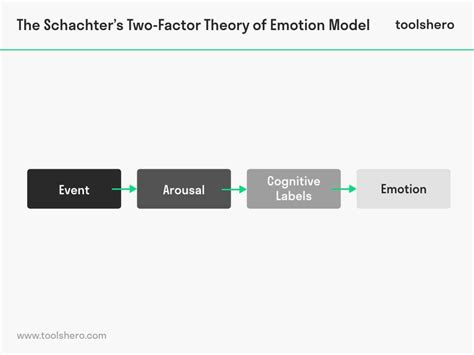 Two Factor Theory of Emotion - Toolshero