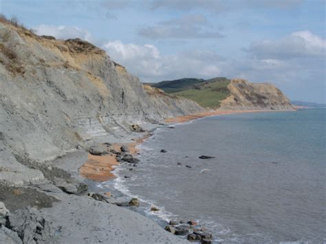 DISCOVERING FOSSILS | Seatown (Dorset)