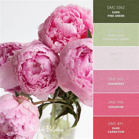 Pink Peonies - Embroidery Color Palette (With Thread Codes)