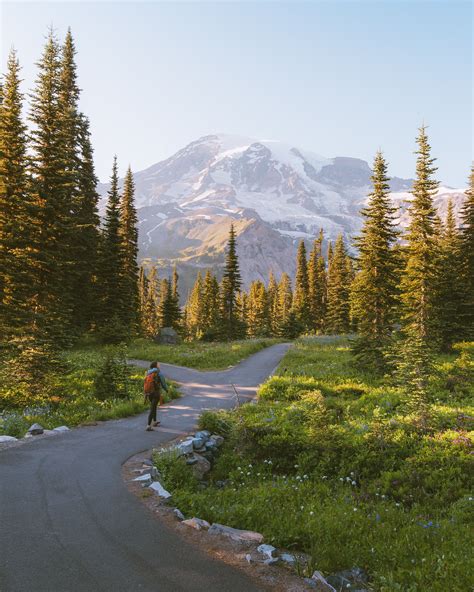 The 10 Best Mt Rainier Hikes For Jaw-Dropping Views | Mt rainier ...