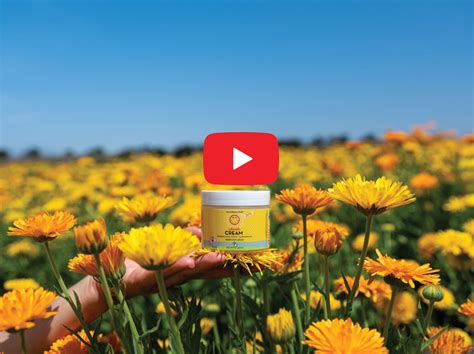 Calendula™ Cream