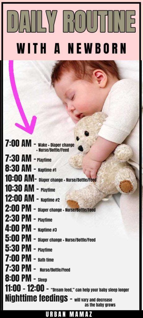 Baby Trivia, Newborn Baby Tips, Newborn Care, Newborn Hacks, Caring For Newborn Baby, Newborn ...