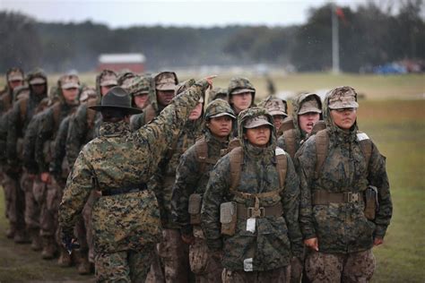 Son Surprises Family After Marine Boot Camp Graduation Over the Holidays