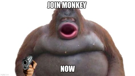 Monkey by Windykung Sound Effect - Meme Button for Soundboard - Tuna