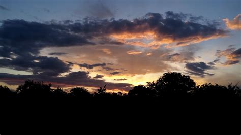 Black Forest Under Cloudy Sky during Sunset · Free Stock Photo