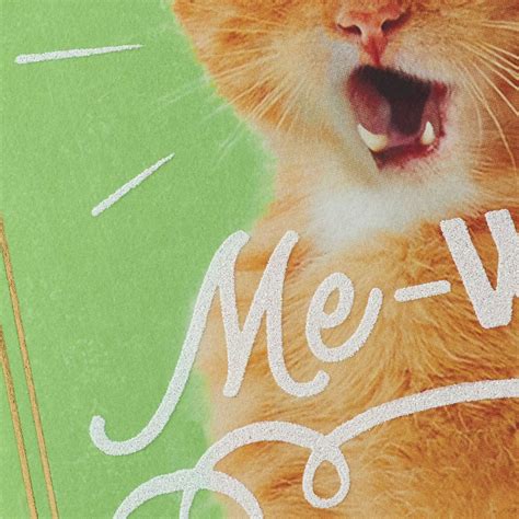 Amazed Kitten Me-Wow Congratulations Card - Greeting Cards - Hallmark