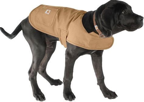 Carhartt Dog Coat | Our Review of the Carhartt Dog Chore Coat