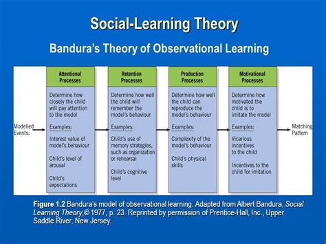 Pin by carmen november on 교육 | Social learning theory, Observational learning, Learning theory