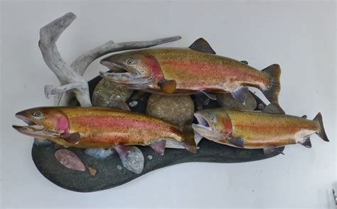 Realistic rainbow, brown, cutthroat, trout fish replicas fish mounts by ...