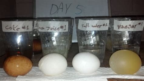 My kid's science experiment- We learned that vinegar peels raw eggs, and Coke turns them into ...