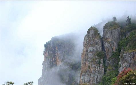 35 Kodaikanal Tourist Places (2021) > Best Tourist Places To Visit ...