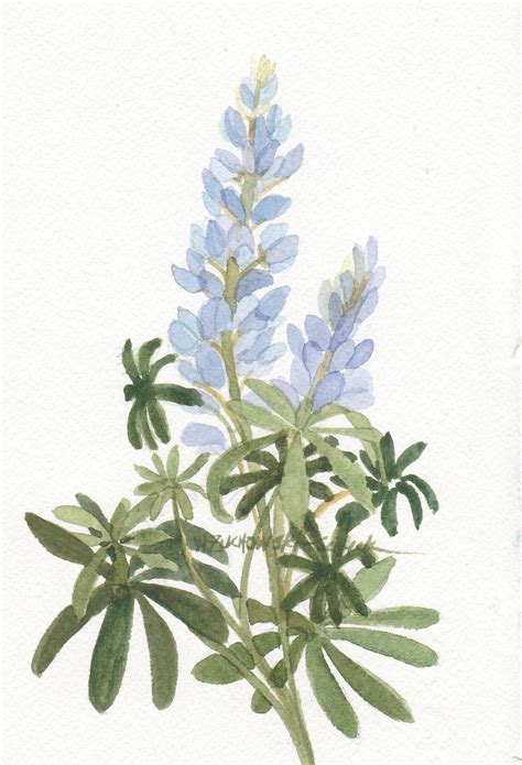 Blue Lupine Original Watercolor Painting 5 by wandazuchowskischick | Flower painting, Watercolor ...