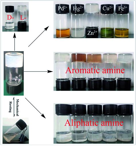 The multiple visual recognition properties of D1 gels. d-: d-lactic ...