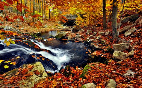 🔥 [50+] Autumn Waterfall Free Wallpapers | WallpaperSafari