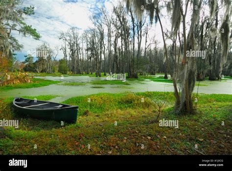 Audubon Swamp Garden at Magnolia Plantation, near Charleston, South ...