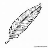 Feather Coloring Pages  Free & Printable sketch template