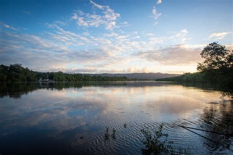 Daintree River Crossing Issue 2 / Bridge Options Costs and Other Considerations