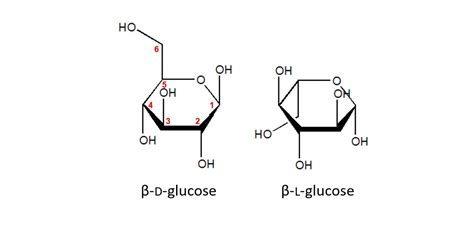 organic chemistry - In the Haworth projections of D and L glucose, is ...