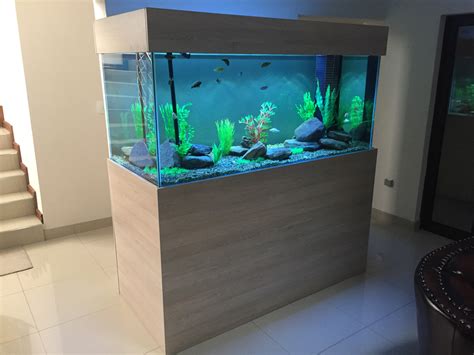 Custom Fish Tank Images Gallery