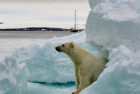 Arctica Expeditions AS - sail boat charter Spitsbergen, Svalbard, Norway