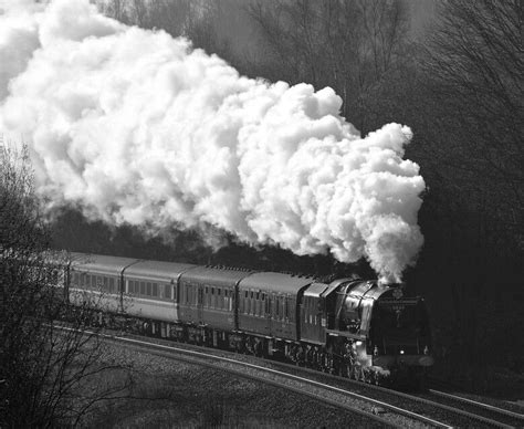 Train in black and white Old Train, Vintage Train, Train Pictures, Random Pictures, Train Rides ...