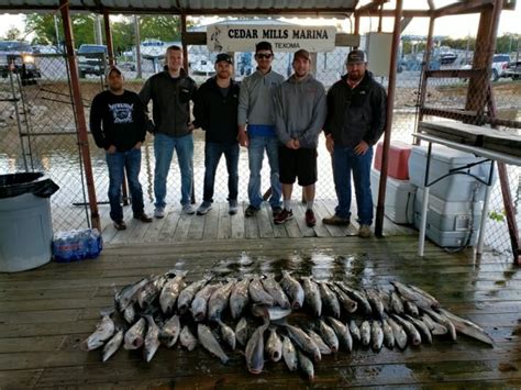 Lake Texoma Striped Bass | Fishing For Striped Bass On Lake Texoma