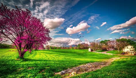 HD Spring Wallpapers, Green Grass HD Spring Wallpapers, #35398