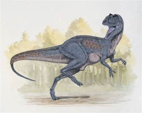 Chilantaisaurus – one of the largest theropods | DinoAnimals.com