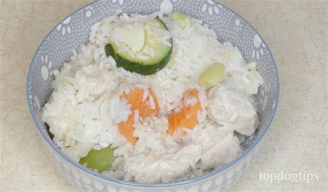 Chicken and Rice Recipe For Dogs with Sensitive Stomach