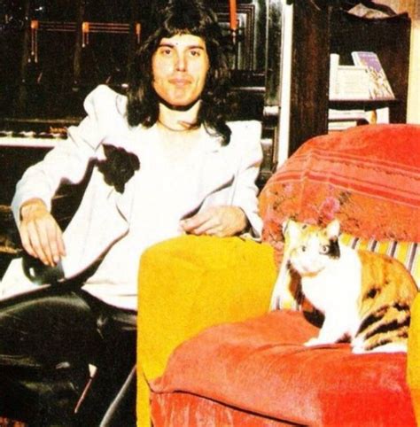 13 Rare Photos Of Freddie Mercury And His Cats