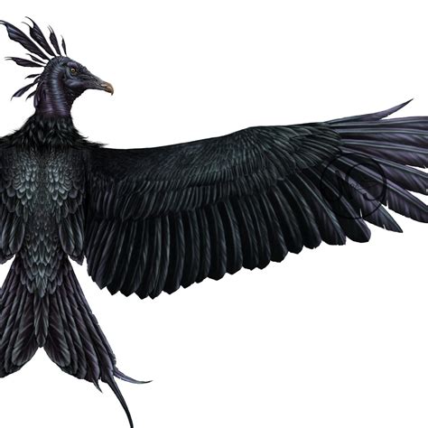 The Black Phoenix by Me. Context in the comments. : r/SpeculativeEvolution