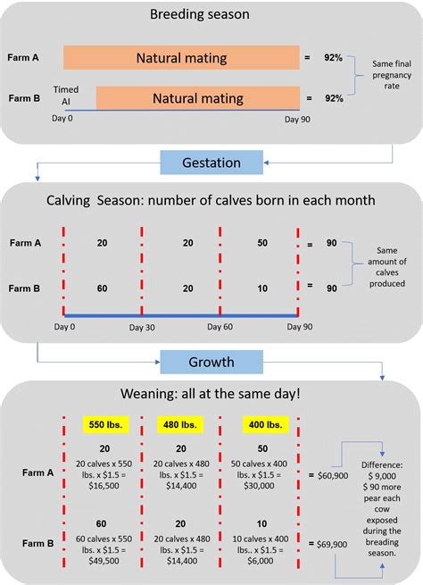 The Importance of the Calving Distribution for Cow-calf Operations | Panhandle Agriculture