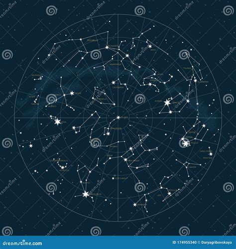 Map Of Northern Hemisphere - Polar Stereographic Vector Illustration ...