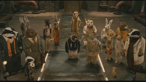 Fantastic Mr. Fox - Fantastic Mr. Fox Image (14625657) - Fanpop